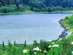 -武陵山森林公园