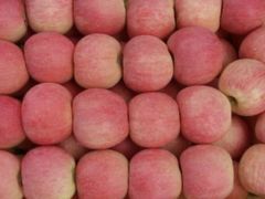 红豆奶茶-CoCo都可(新城吾悦广场店)