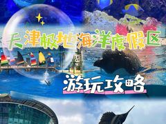 -海合安天津极地海洋公园