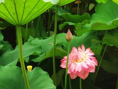 -黄兴公园