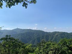 -田心森林公园