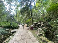 -宋宴(虎跑店)