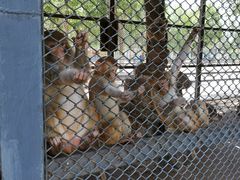 -长白岛森林公园