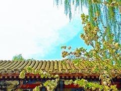 -海棠花溪(元大都城垣遗址公园)