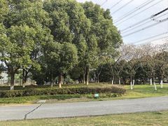 -九里河湿地公园