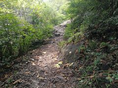 -云岫谷游猎自然风景区