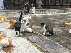 -四门塔风景区