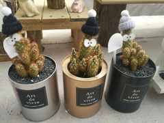 -三圣花乡旅游区