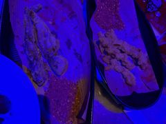 -温莎KTV(国贸店)