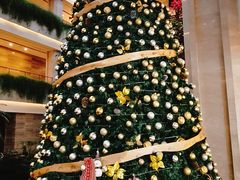 -广州白天鹅宾馆