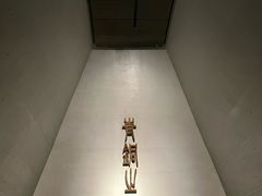 -秦始皇帝陵博物院(兵马俑)
