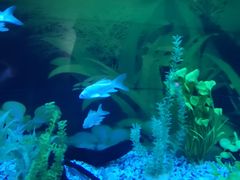 -常州海昌海洋探索馆