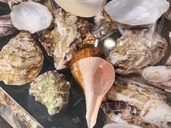 -普朗姆生蚝吧(原建国路店)