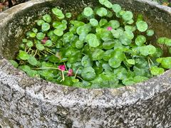 -青瓦房古村落