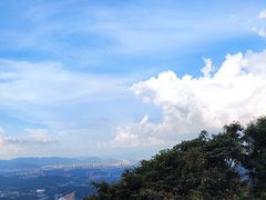 -黄埔油麻山森林公园