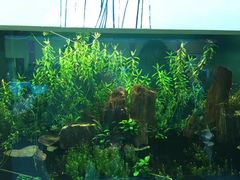 -北戴河圣蓝海洋公园