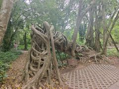 -中国科学院西双版纳热带植物园