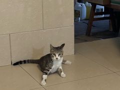 -玉滋補
