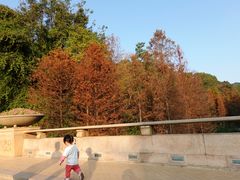 -云溪植物园