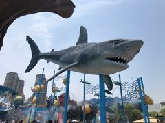 -海合安武汉极地海洋公园