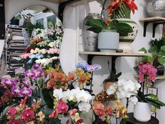-FEI FEI FLOWER鲜花店·气球派对·宝宝宴布置(虹口德必运动Loft店)