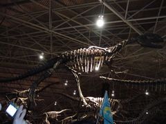 -世界恐龙谷景区