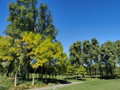 -北京京辉高尔夫俱乐部有限公司