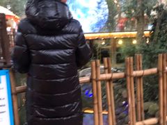 -二荆条·蜀鲜汇城市森林火锅