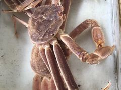 -南沙十九涌渔人码头-南门