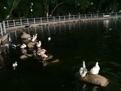 -莲湖公园