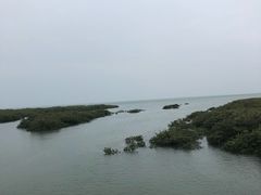 -北海金海湾红树林生态旅游区