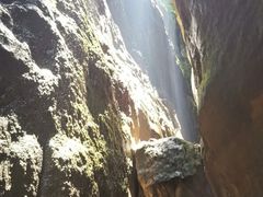 -武陵山森林公园