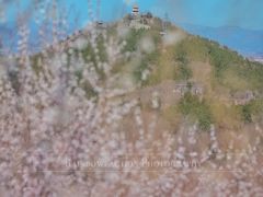 -妙峰山风景名胜区