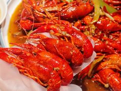 -杨氏青龙虾·羊蝎子(托乐嘉店)