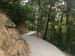 -火炉山森林公园