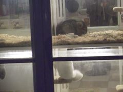 龙猫-龙猫仔乐园(惠福东路店)