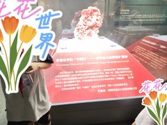 -湖南省地质博物馆