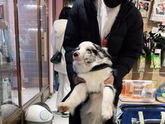 -FAELING PETS美天灵宠物(富力广场店)