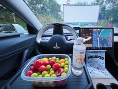 -枫花园汽车电影院(朝阳公园店)