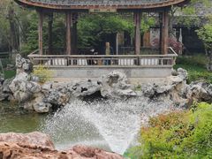 -芥子园