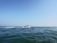 -拓恩帆船俱乐部