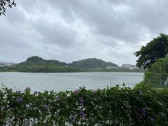 -立新湖公园