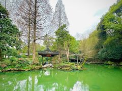 -杭州植物园