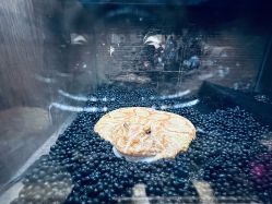 -Zoolung Zoolung动物主题公园(海信广场店)