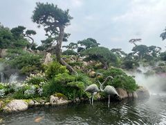 -罗红摄影艺术馆