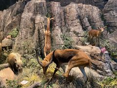 -陕西自然博物馆