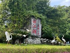 -广州白江湖森林公园