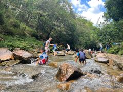 -广州白江湖森林公园