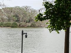 -海珠湖公园