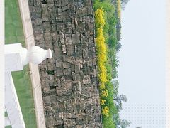 -河北省园博园